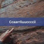 All Info About Ccaarrlluuccccii