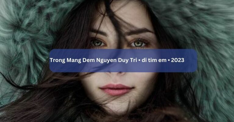 Trong Mang Dem Nguyen Duy Tri • di tim em • 2023
